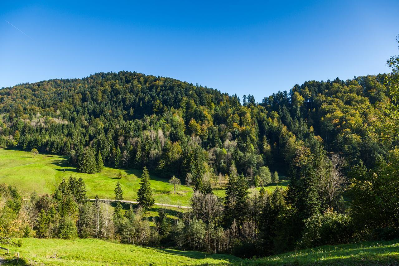 Hotel Bad Rain Mit Oberstaufen Plusgolf المظهر الخارجي الصورة